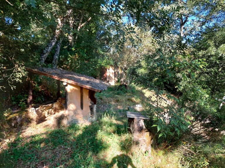 Retiro-psilocibina-gredos-Izaskun-Anguiano (2)