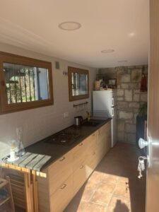 conciencia chamanica